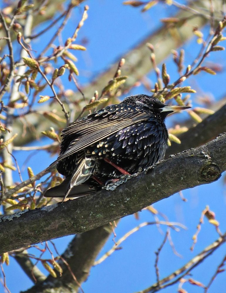 Photograph by Николай