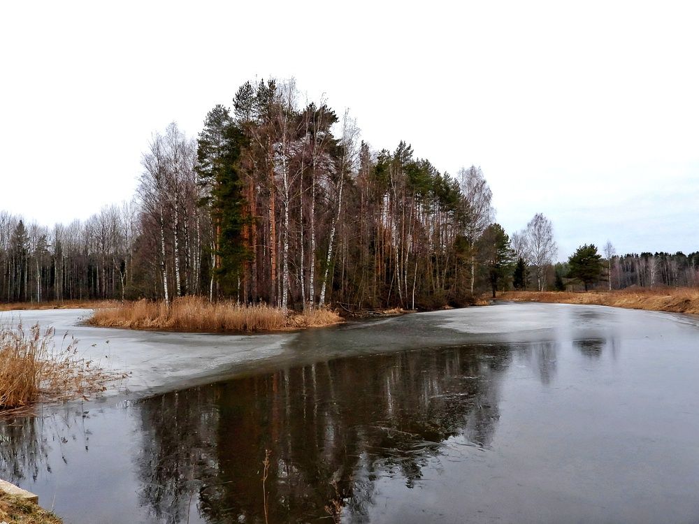Photograph by Александр Шаварин
