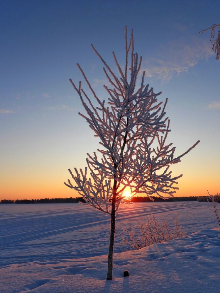 Photograph by Александр Шаварин