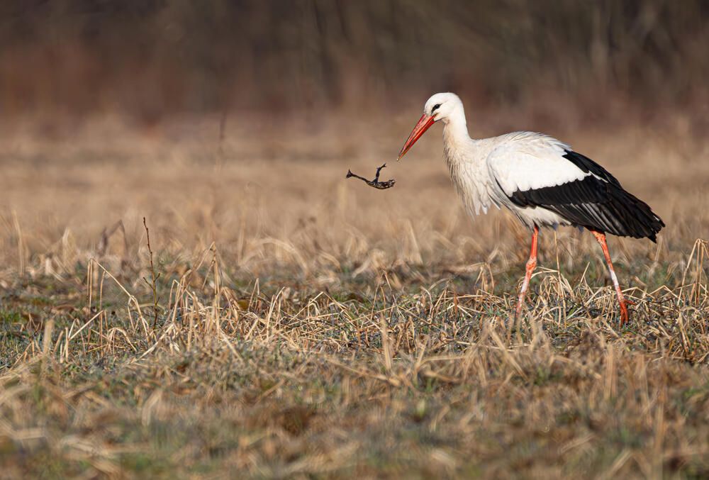 Photograph by Александр Белов