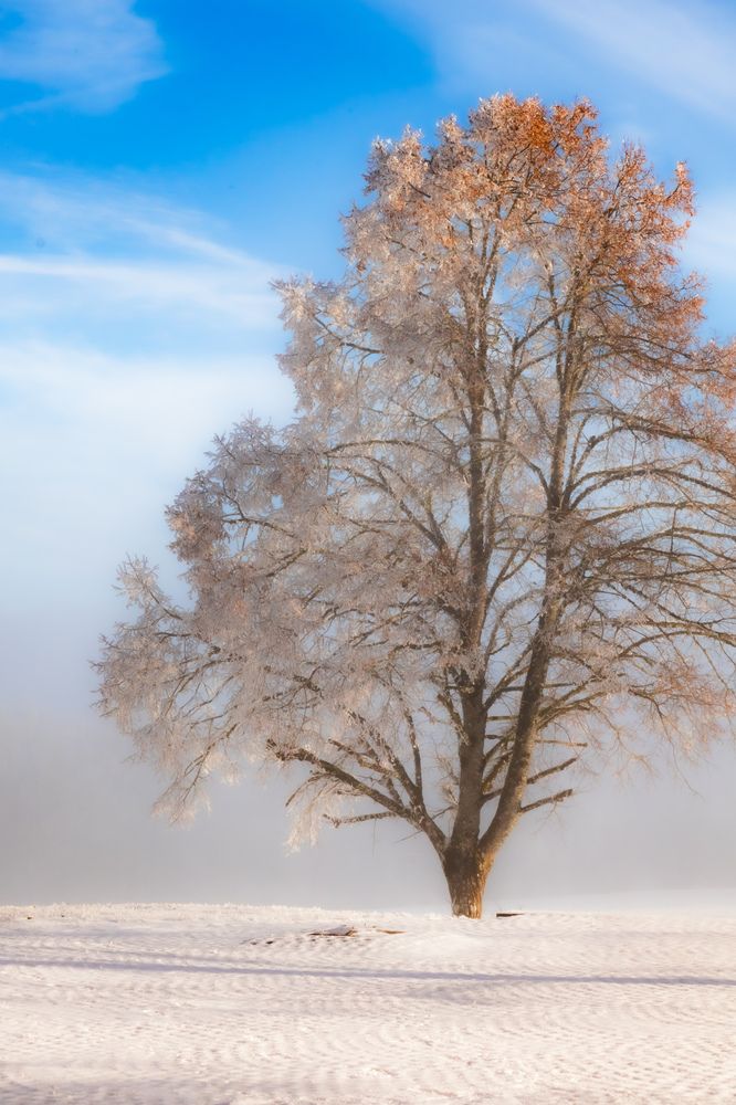 Photograph by Ed Simon