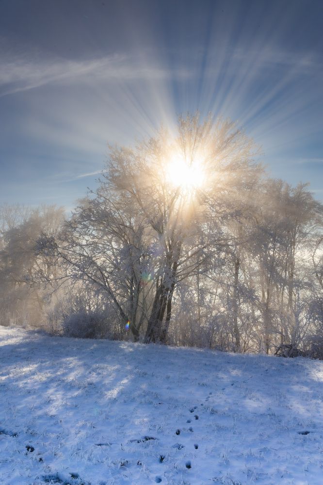 Photograph by Ed Simon