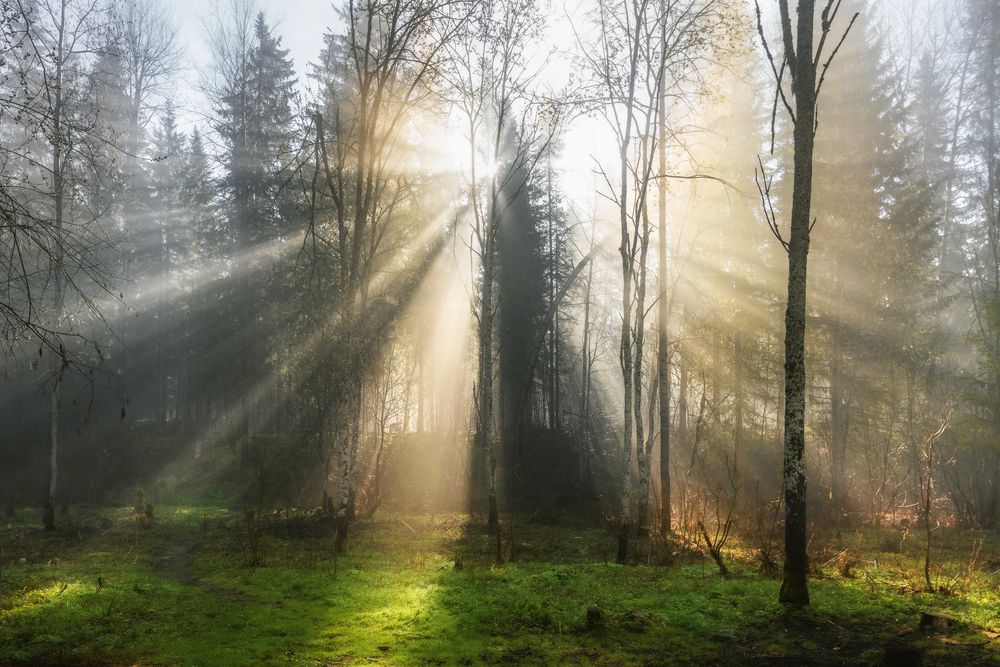 Photograph by Соколова Елена