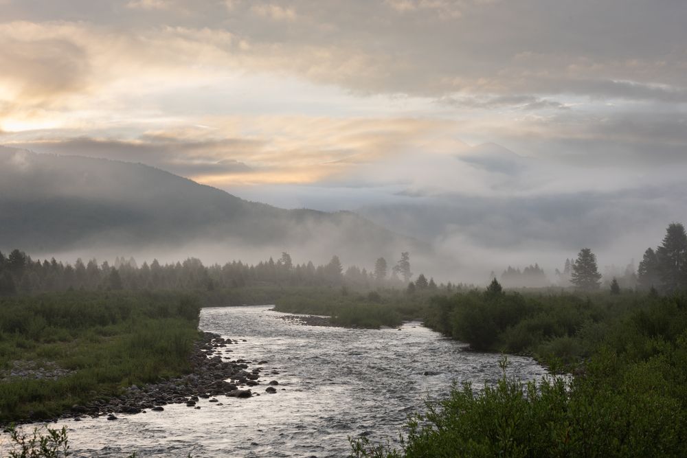 Photograph by Елена Вторушина