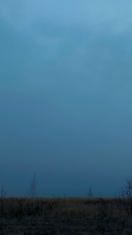 Photograph by Алеся Гурьянова