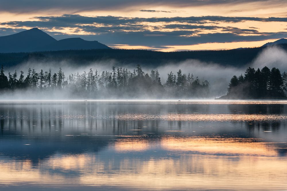 Photograph by Елена Вторушина