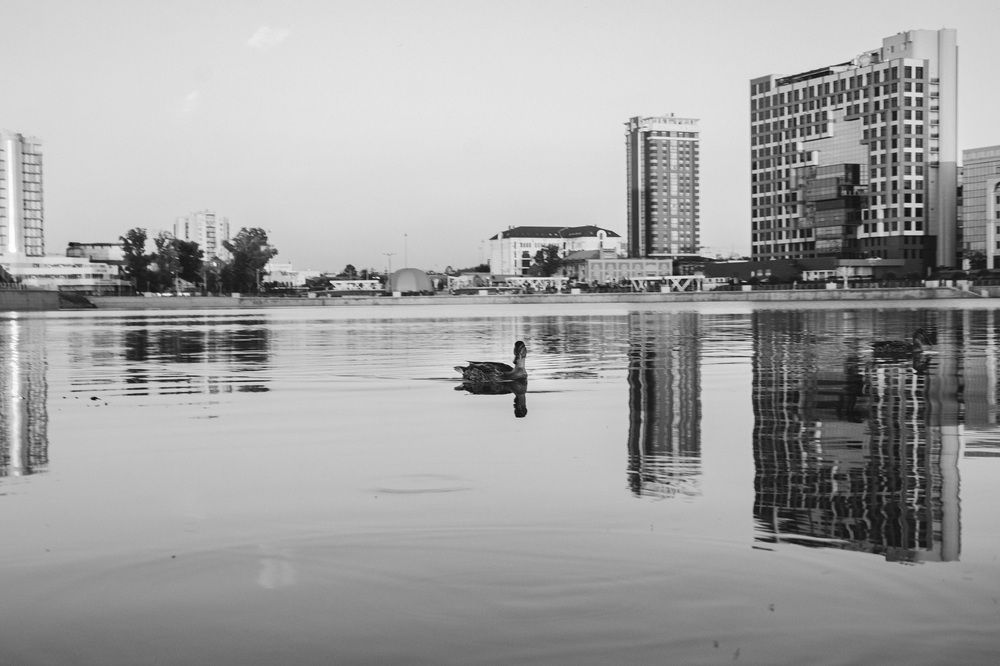 Фотография автора Елена Загайнова