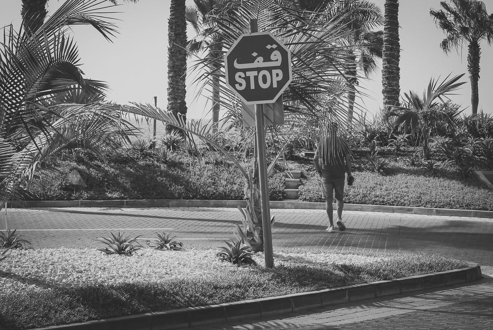 Photograph by Андрей Безгин