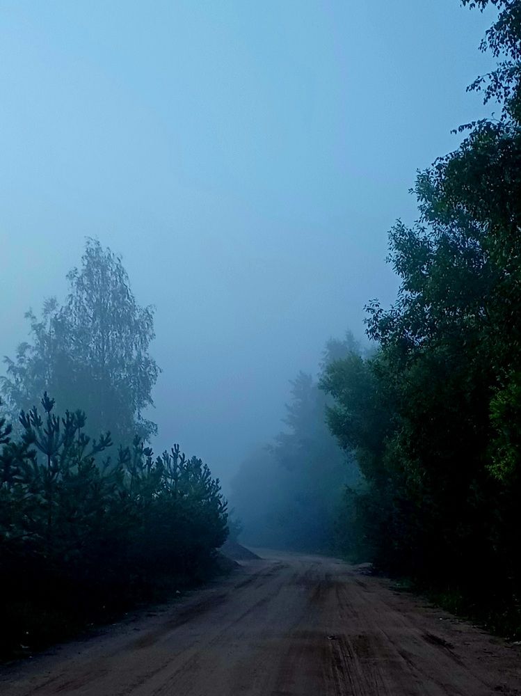 Photo #12110393