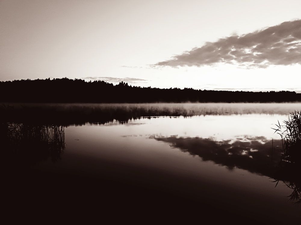 Photo #12110396