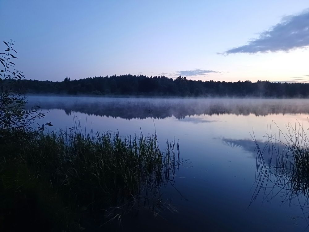 Photo #12110397