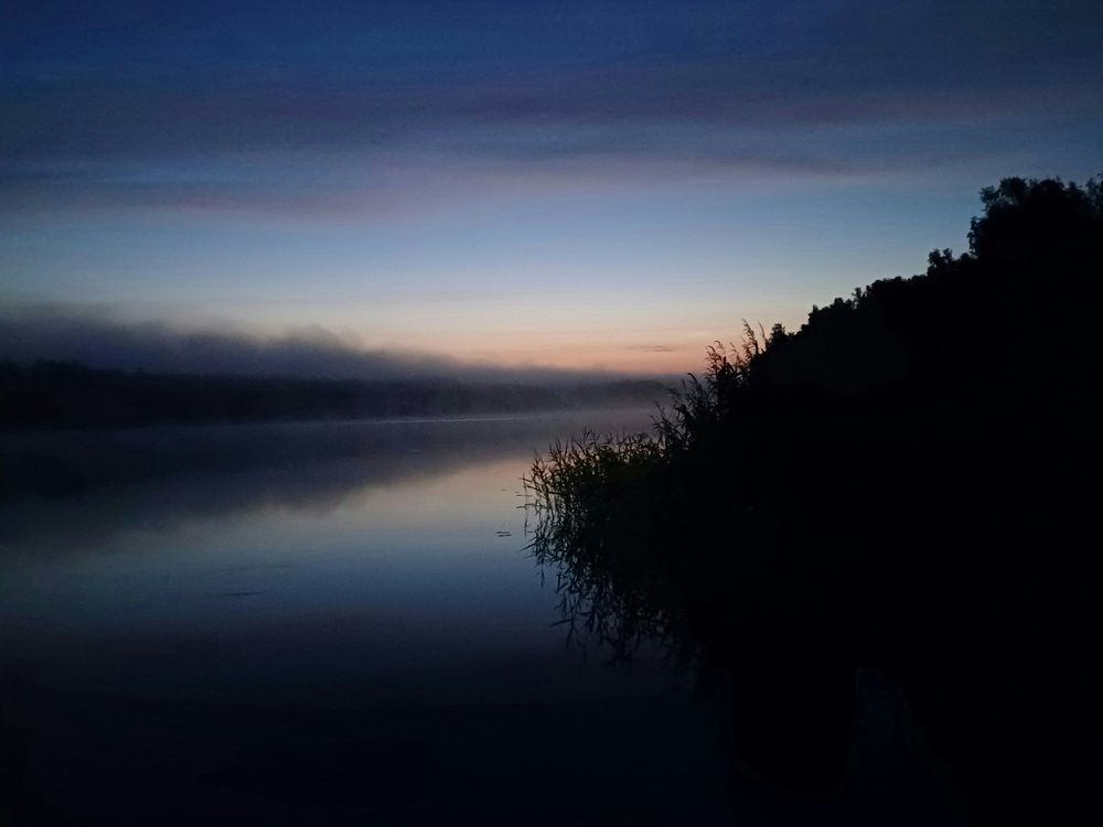 Photo #12110398