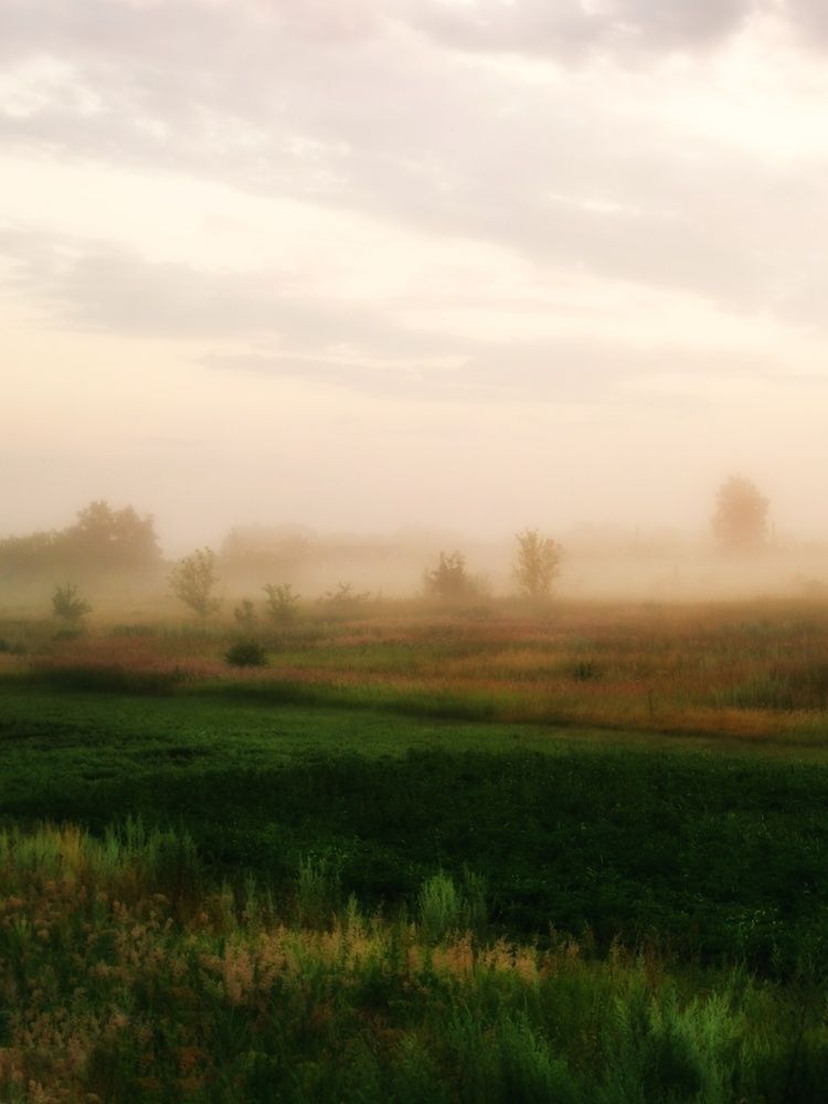 Photograph by Наталья Асоскова