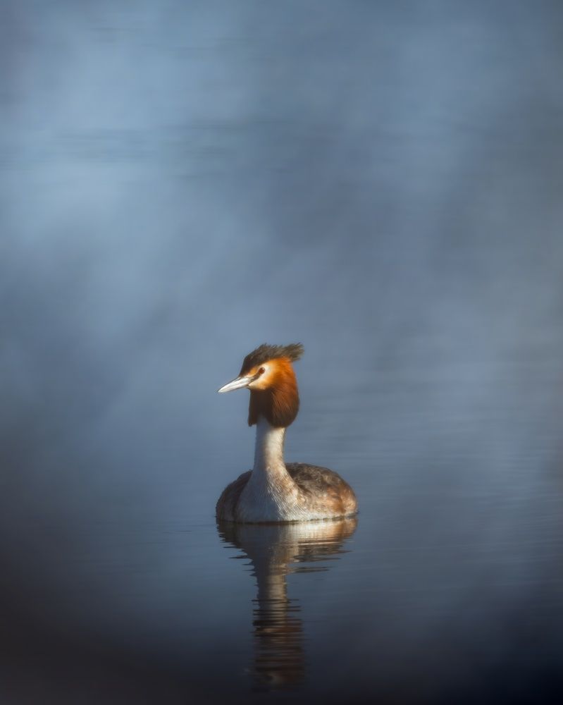 Photograph by Баетов Адыл