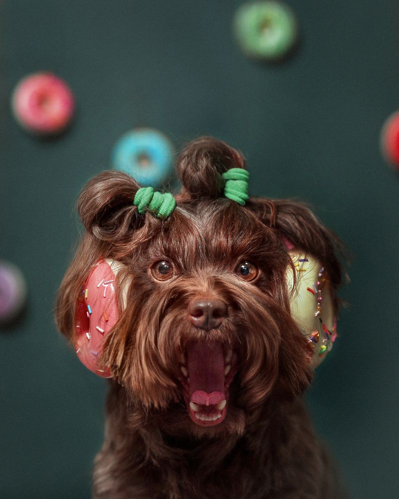 Photograph by Eugenia Tuzova