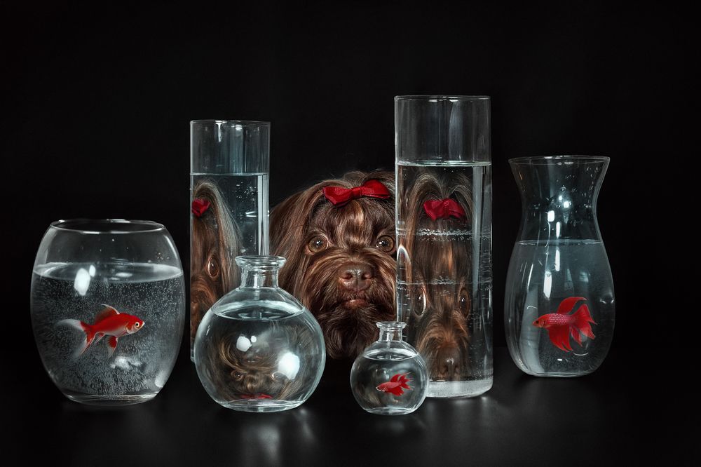 Photograph by Eugenia Tuzova