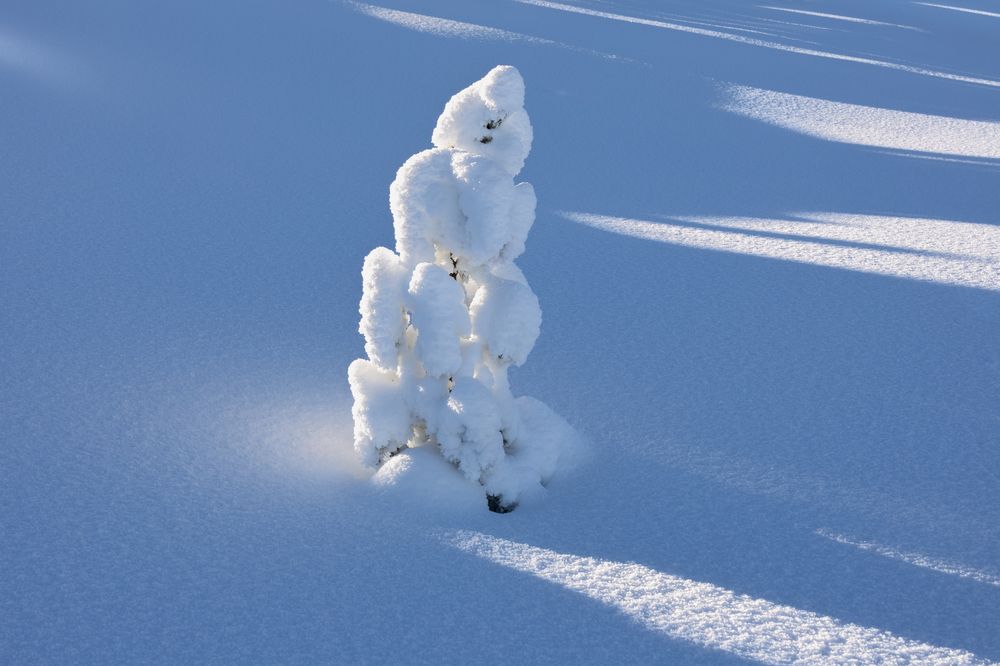 Photograph by Сергей Гук