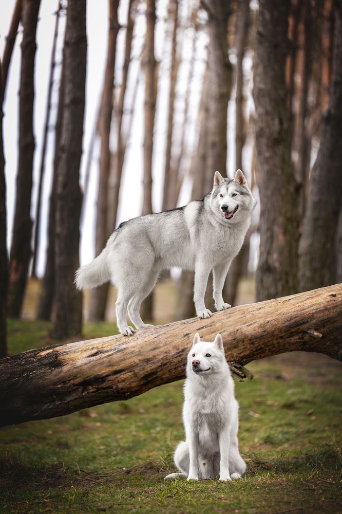 Photograph by Ирина Голомб