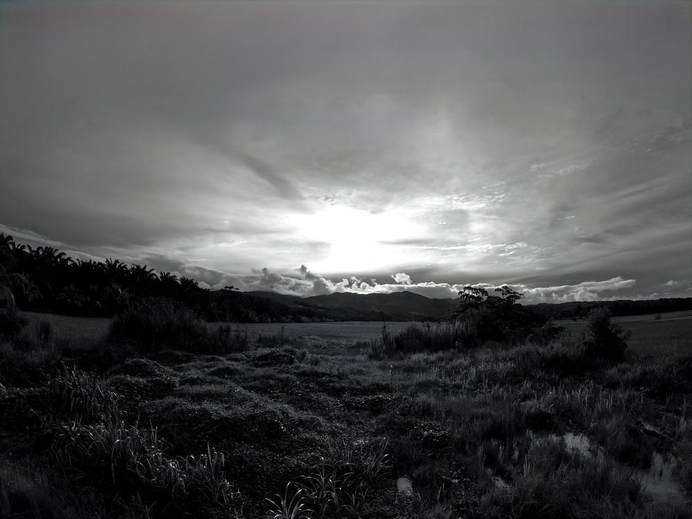 Photograph by Rodrigo Sanchez-Mosquera