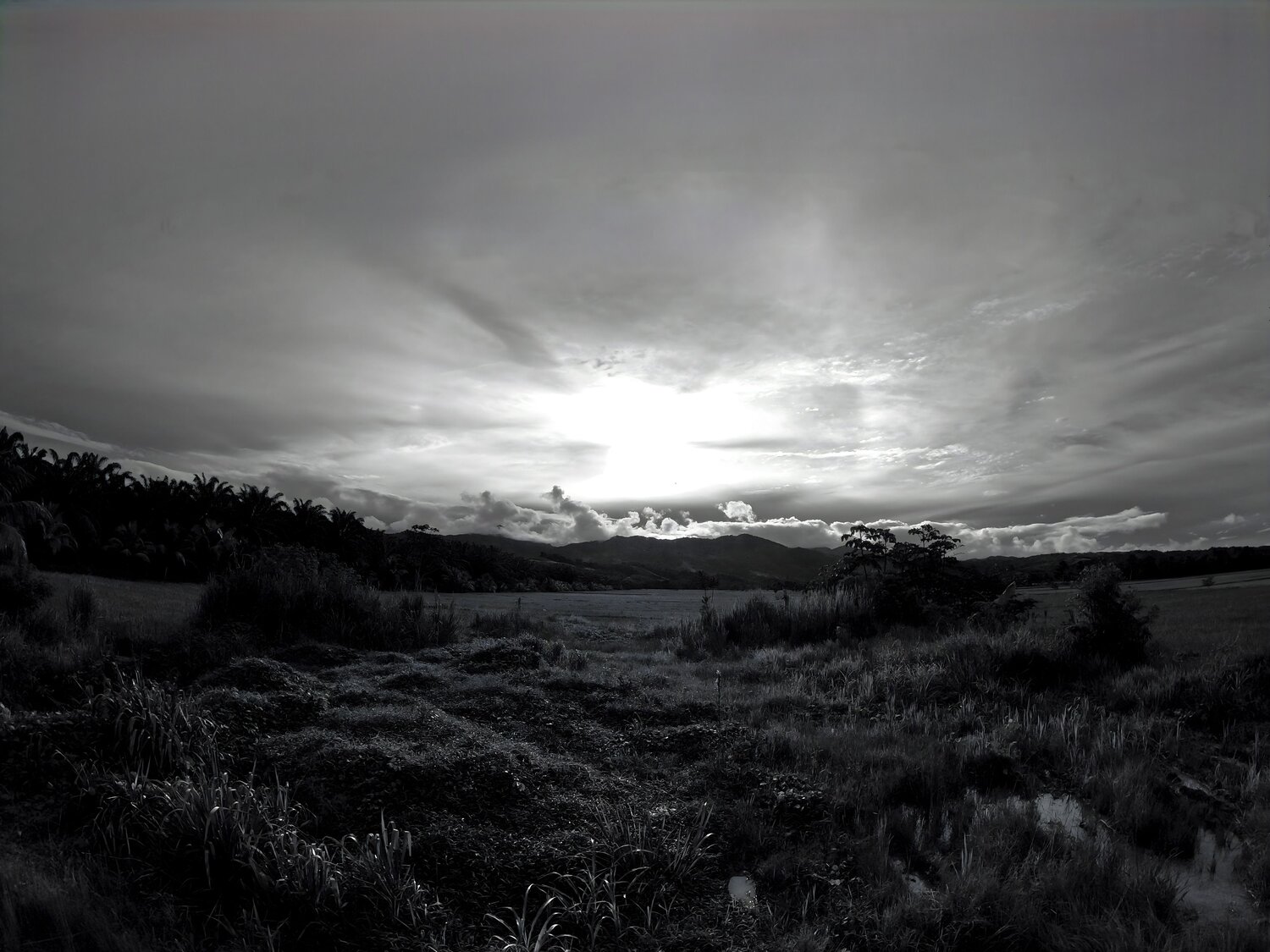 Photo #12110734