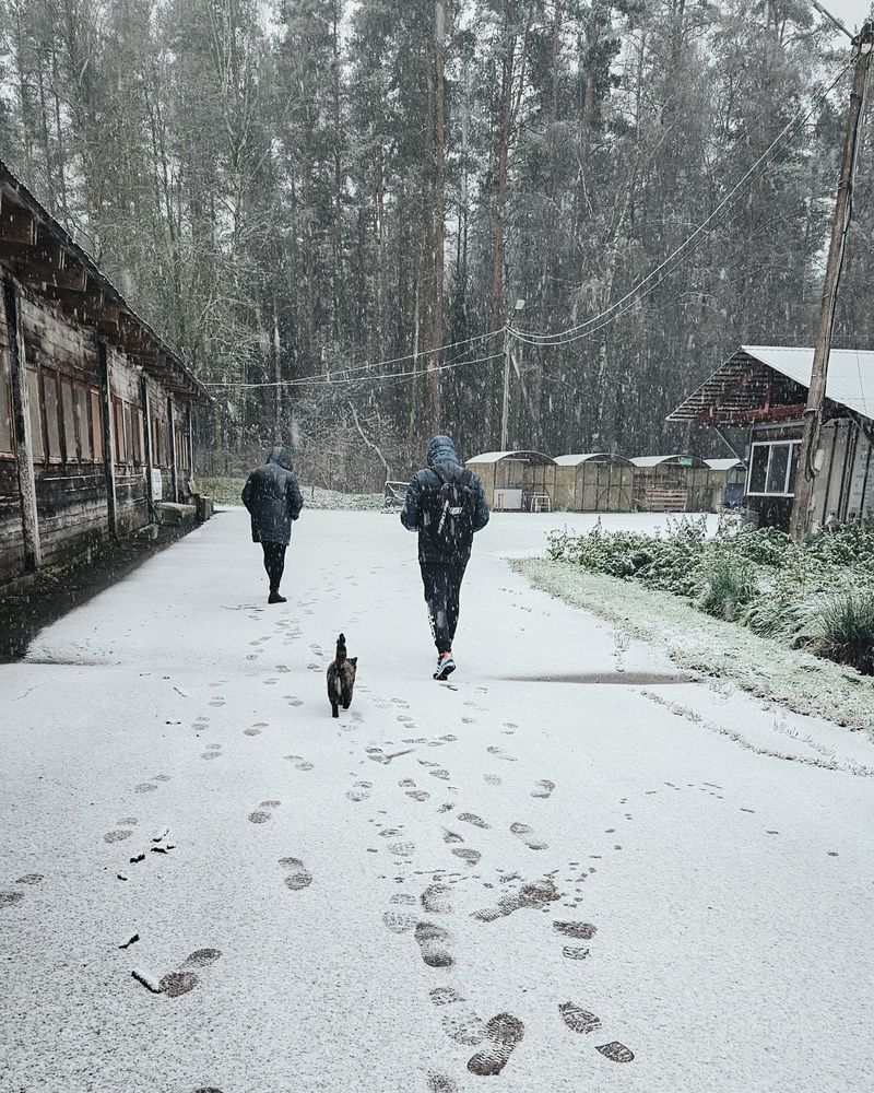 Photograph by Наталья Тополевская