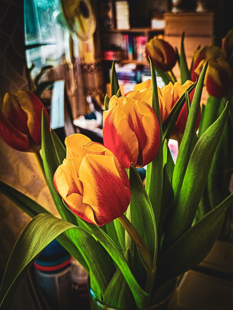 Photograph by Владимир Сушкин