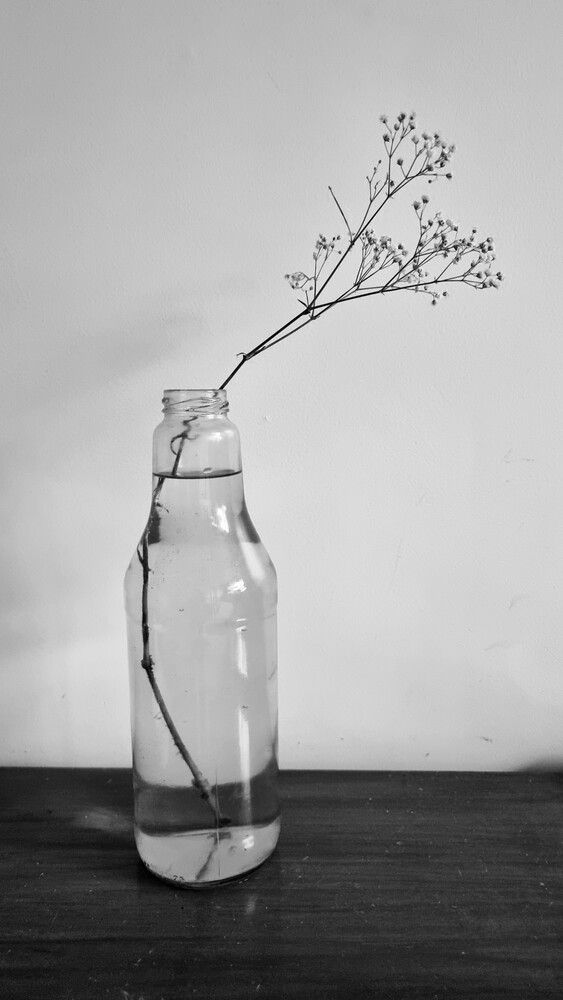 Photograph by Gr Marie