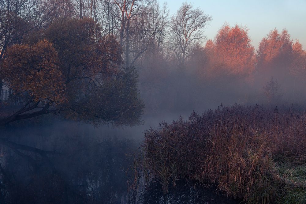 Photograph by Сергей Алексеев