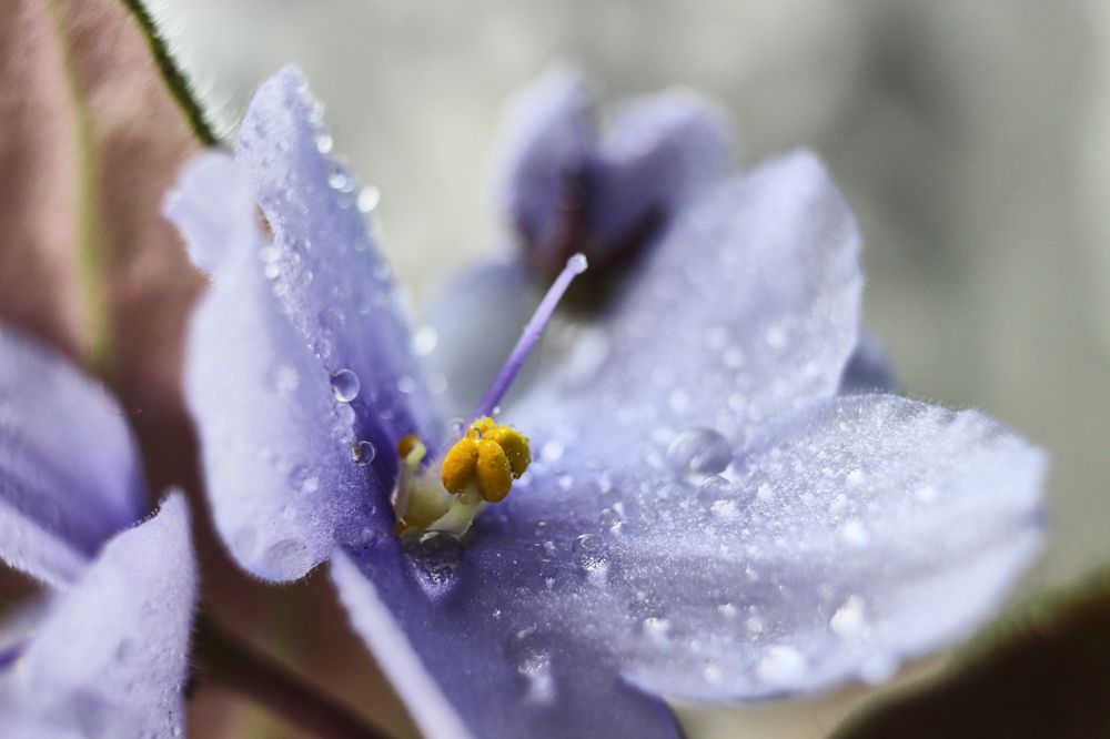 Photograph by Наталия Мащенко