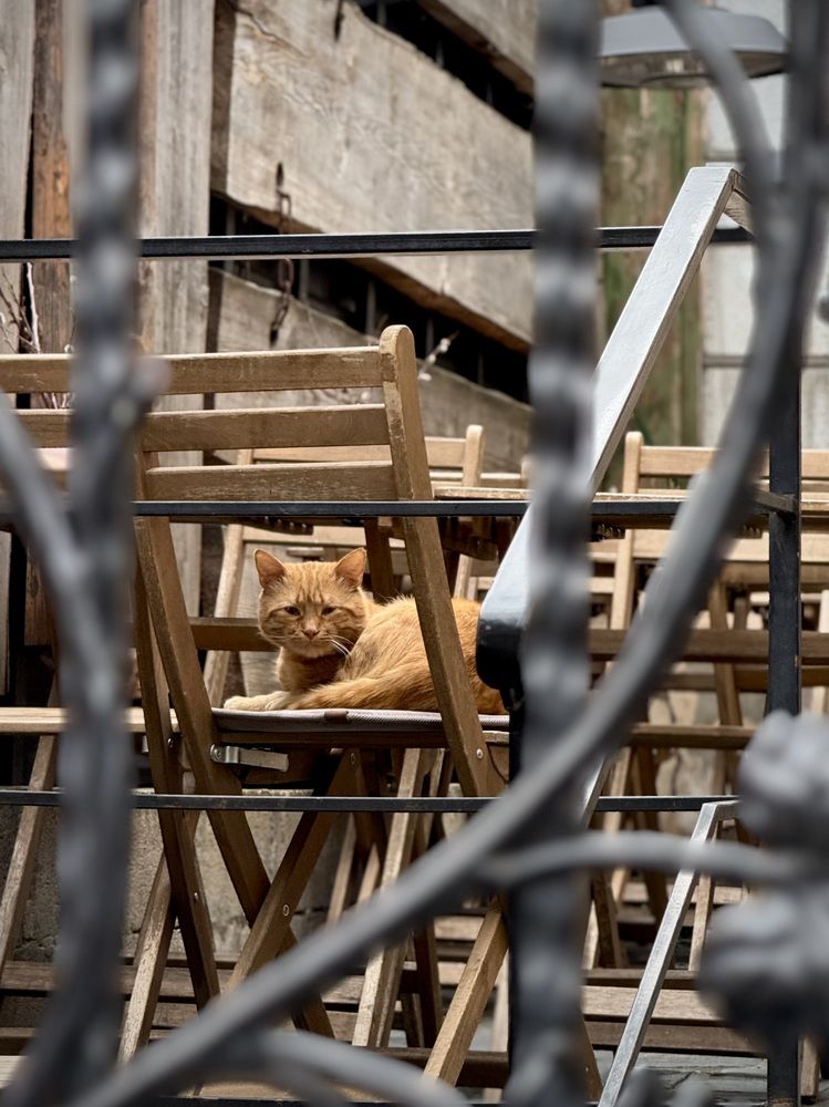 Photograph by Sergei