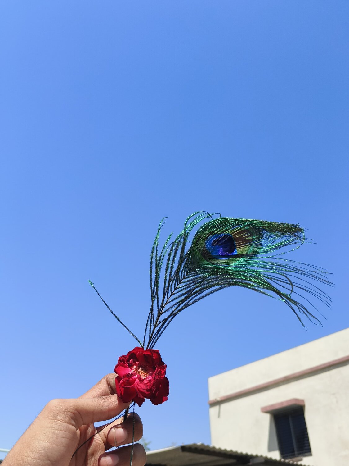 Photo #12111036