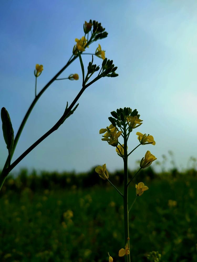 Photograph by Riddhima Sharma