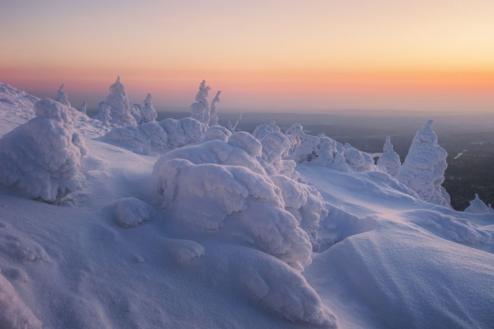 Photograph by Соколова Елена