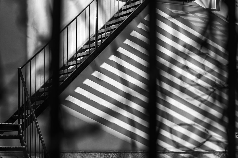 Фотография автора Dimitri Bakhtadze