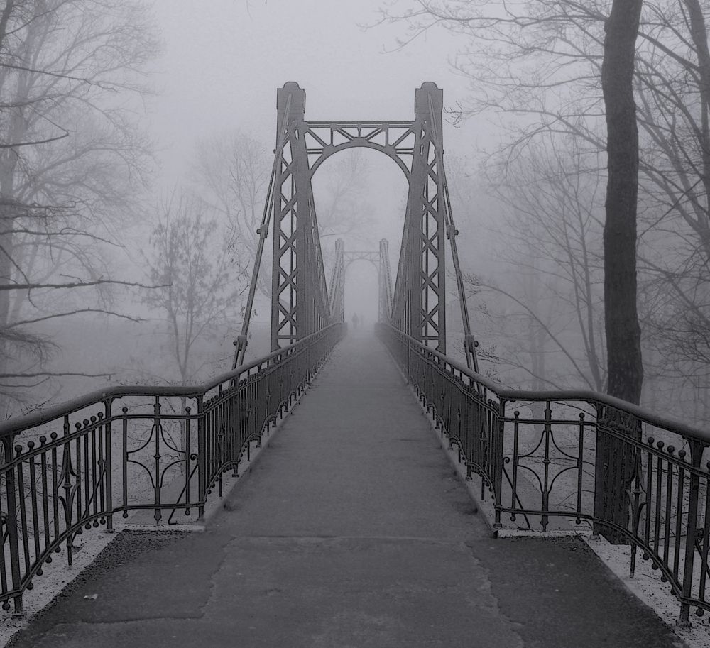 Photograph by 