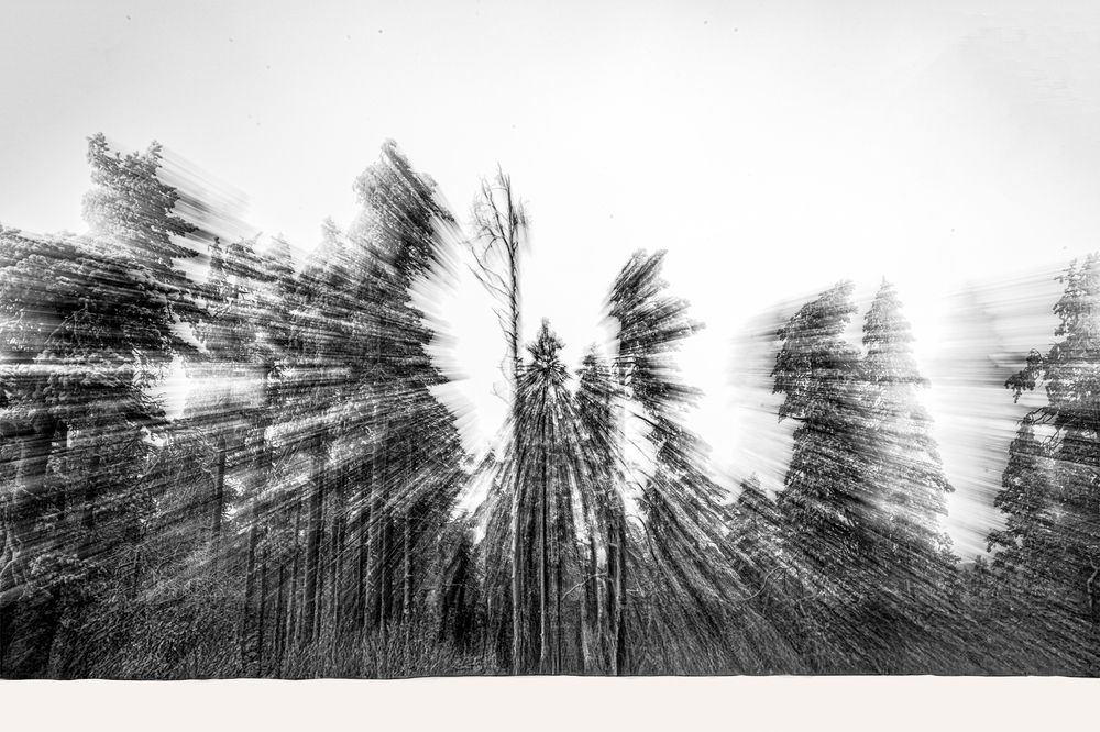 Photograph by Sharad Mansharamani