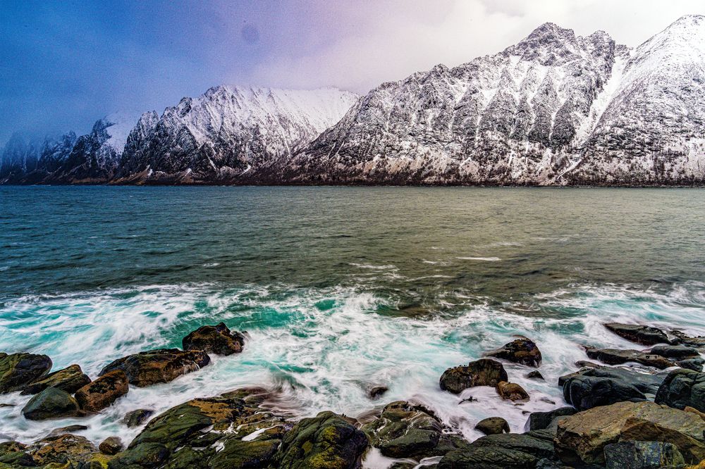 Photograph by Sharad Mansharamani