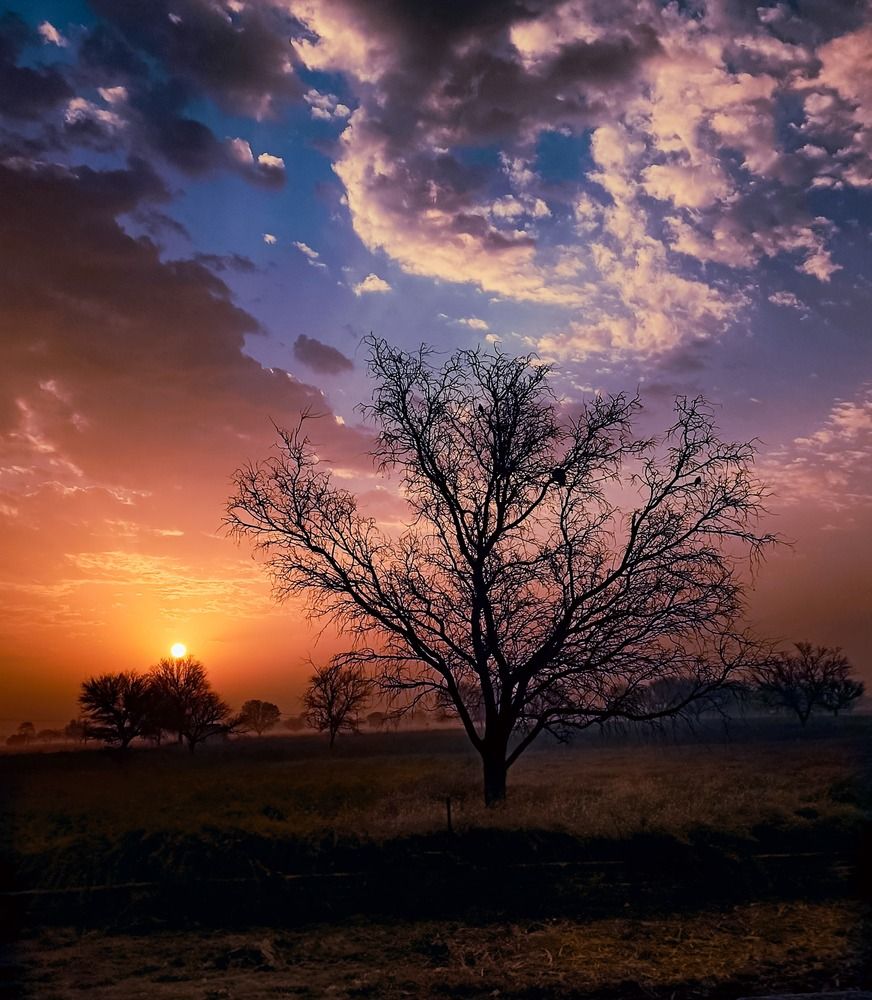 Photograph by Parveen Kumar