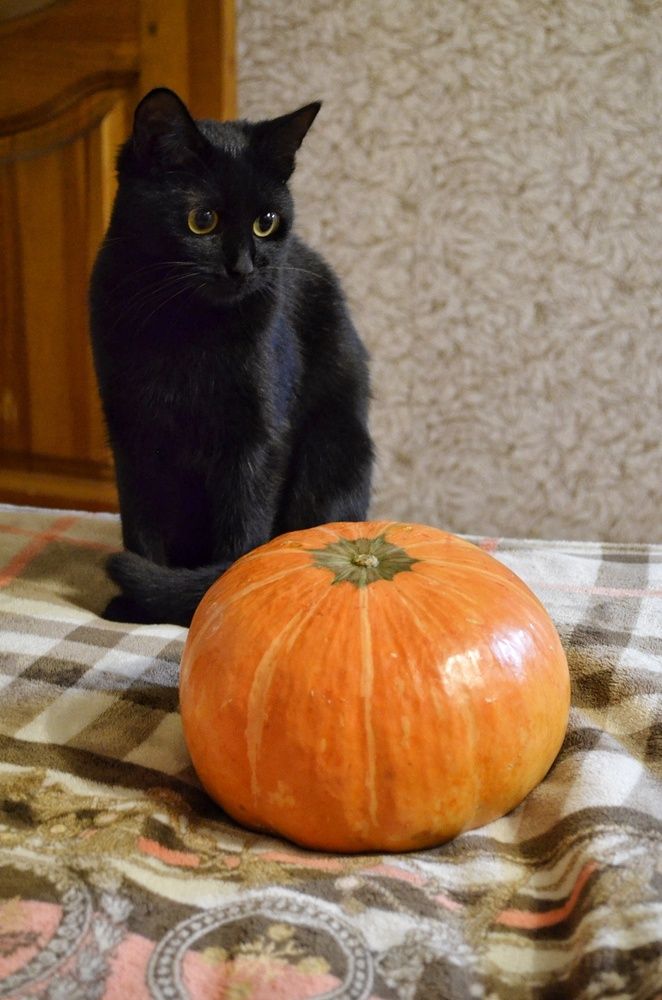 Photograph by Guseva Marina