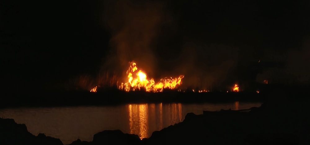 Photograph by Елизавета Лемешко