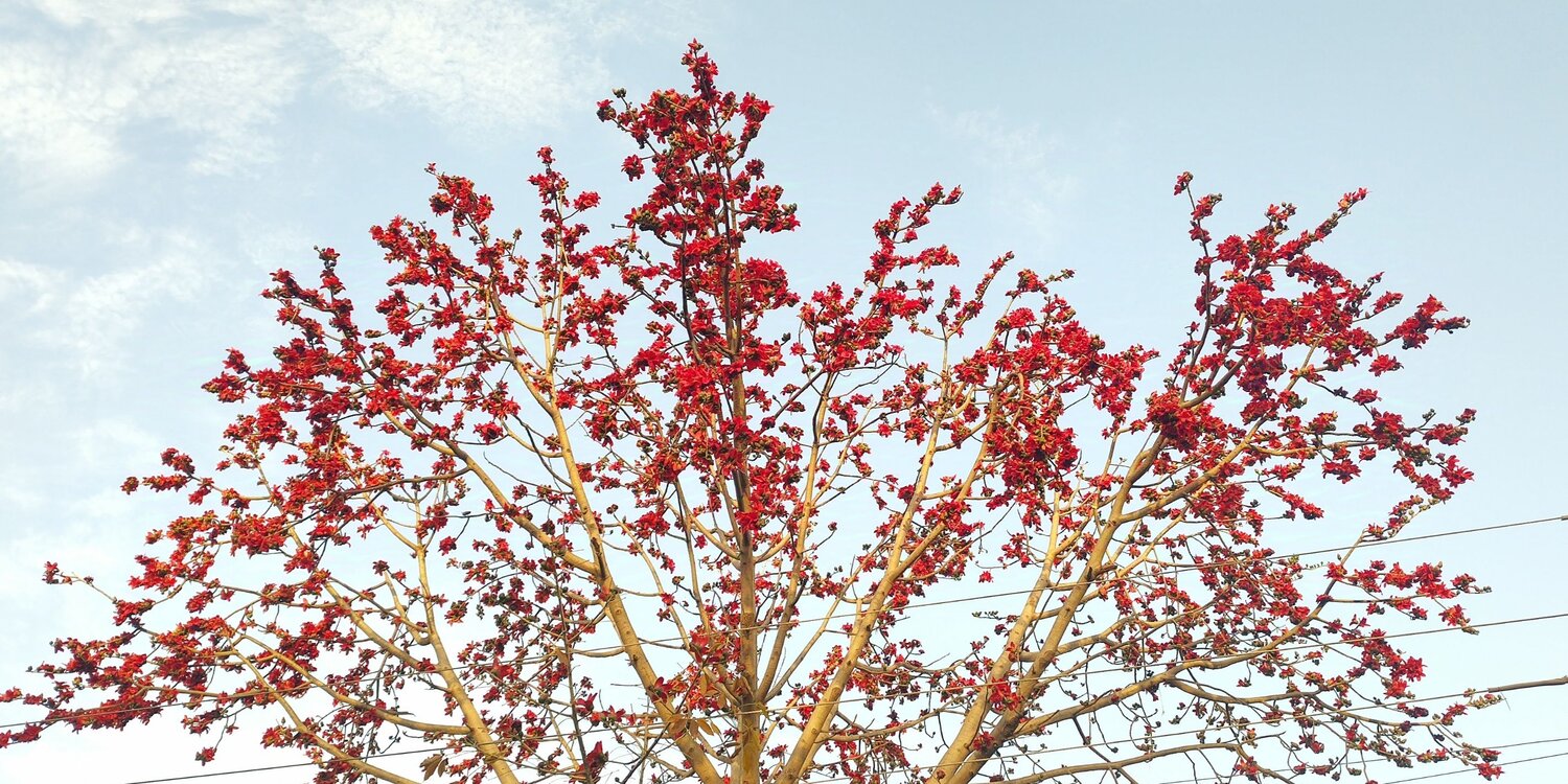 Photo #12111426