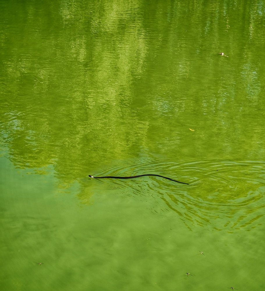 Photograph by Сергей Кошин