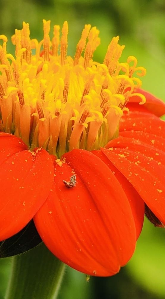 Photograph by Sasmita Singh