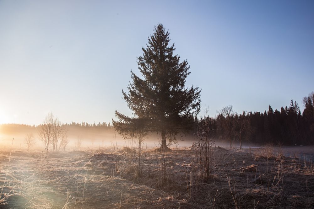 Photograph by Александр Кропп