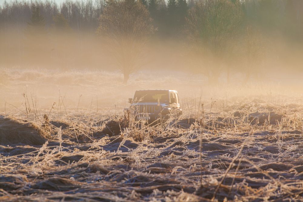 Photograph by Александр Кропп