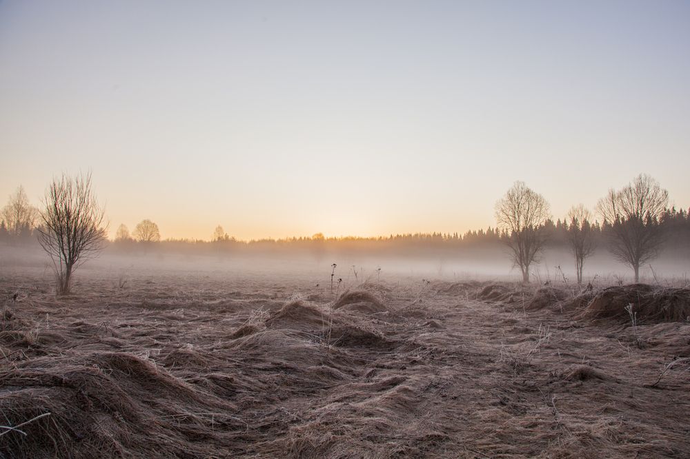 Photograph by Александр Кропп