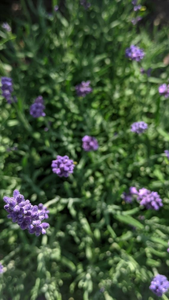 Фотография автора Васильева Ирина