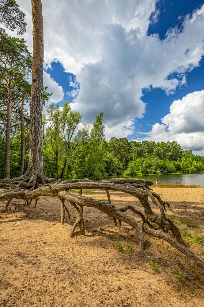 Photograph by Артём Быхалов