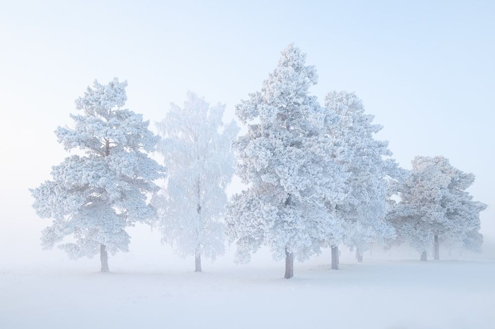 Photograph by Леонтьев Константин