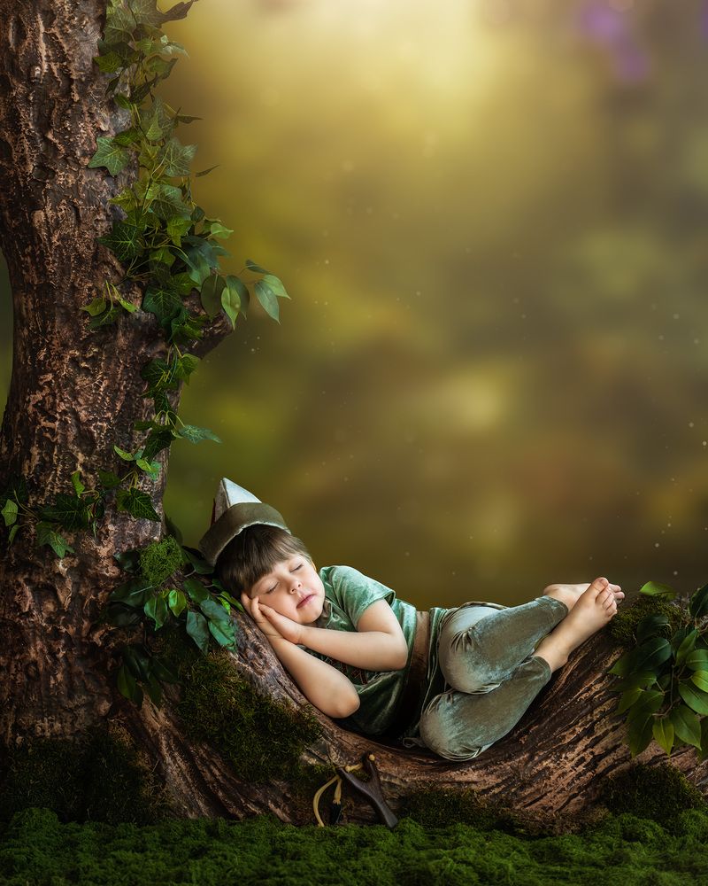 Peter pan in Neverland